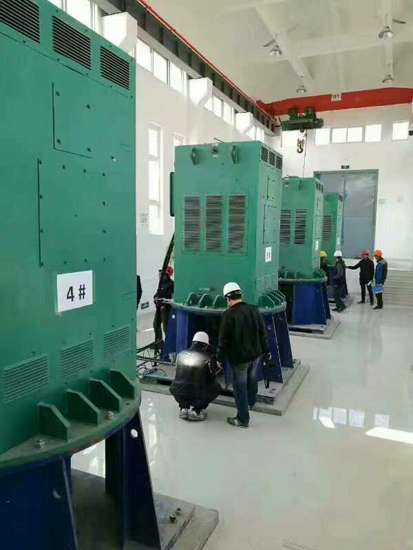 台江某污水处理厂使用我厂的立式高压电机安装现场